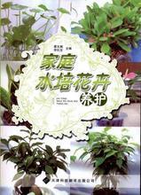最新最全花卉書籍 產品參考信息指南